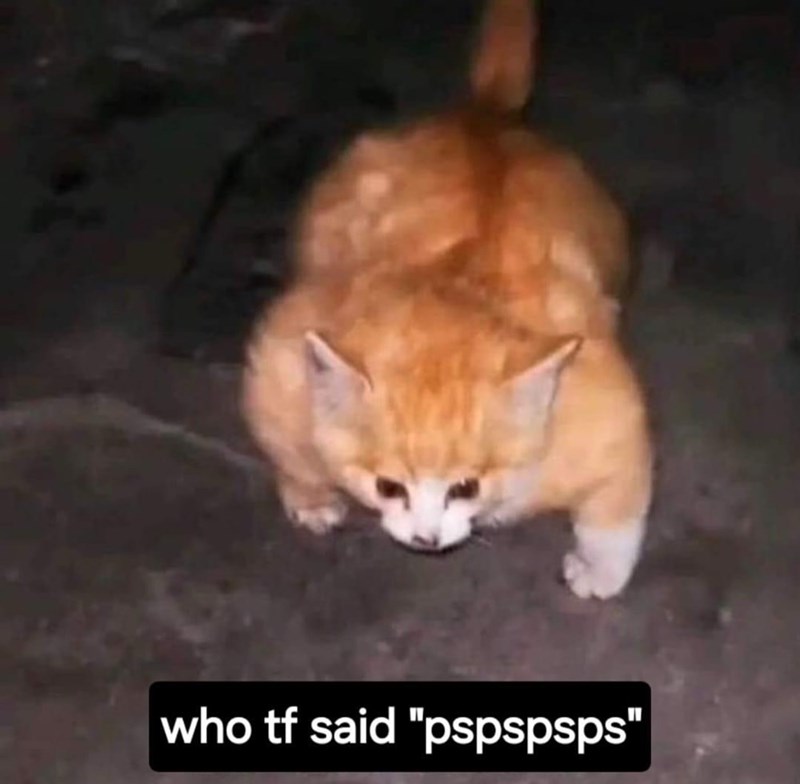 who-tf-said-pspspsps