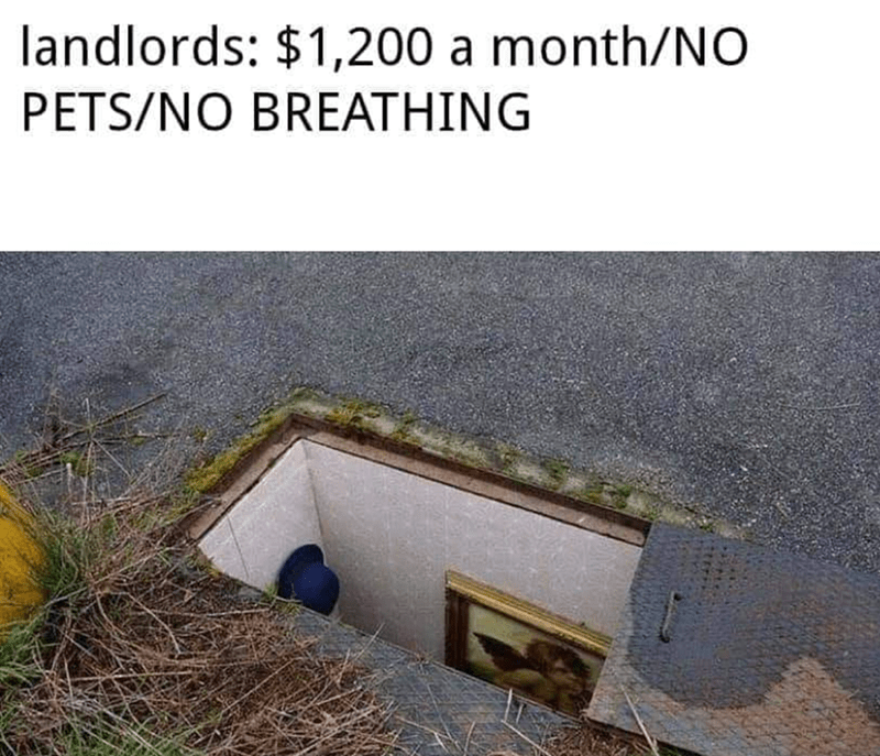 landlords-1200-monthno-petsno-breathing