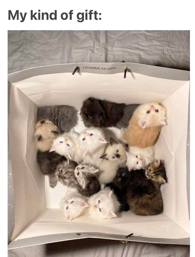 my-kind-gift-lovera-sacom