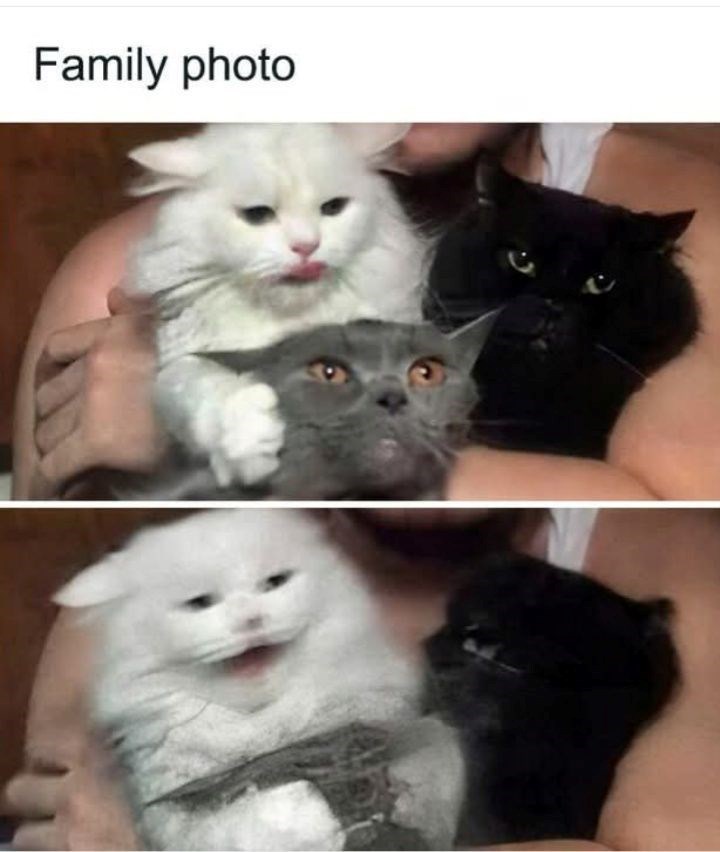 family-photo
