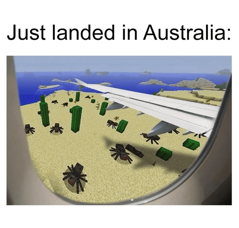 just-landed-australia