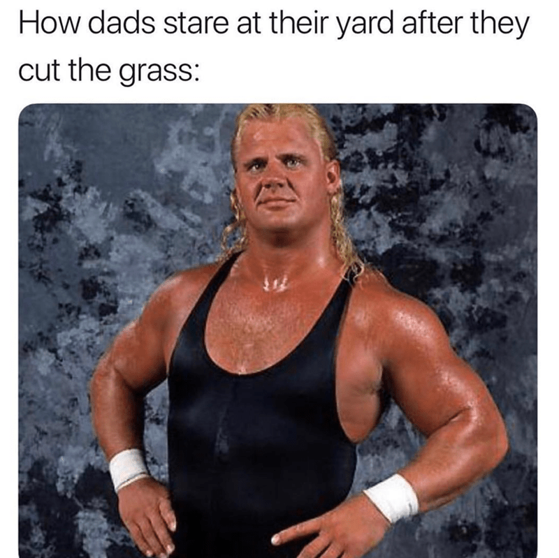 dads-stare-at-their-yard-after-they-cut-grass