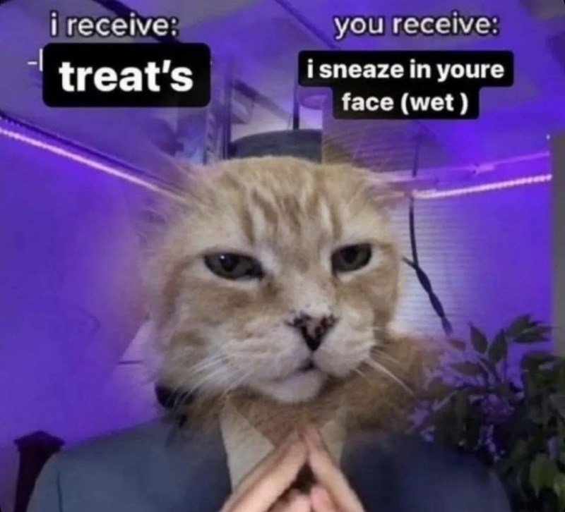 receive-treats-receive-sneaze-youre-face-wet