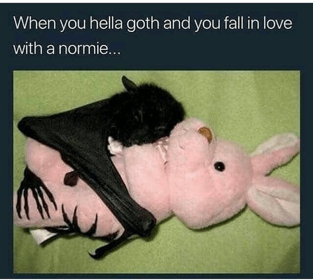 hella-goth-and-fall-love-with-normie