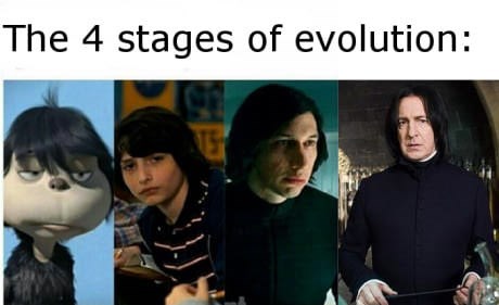 4-stages-evolution-t5