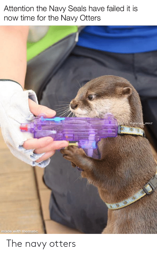 the-navy-otters-67932922.png