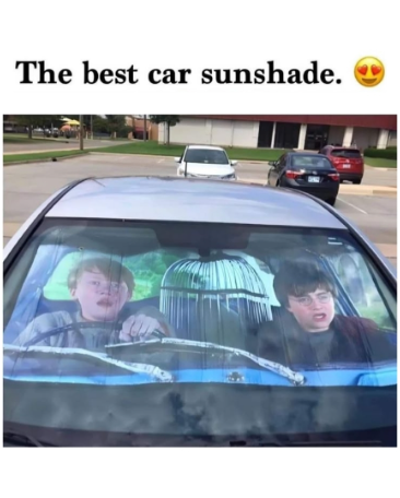 best-car-sunshade