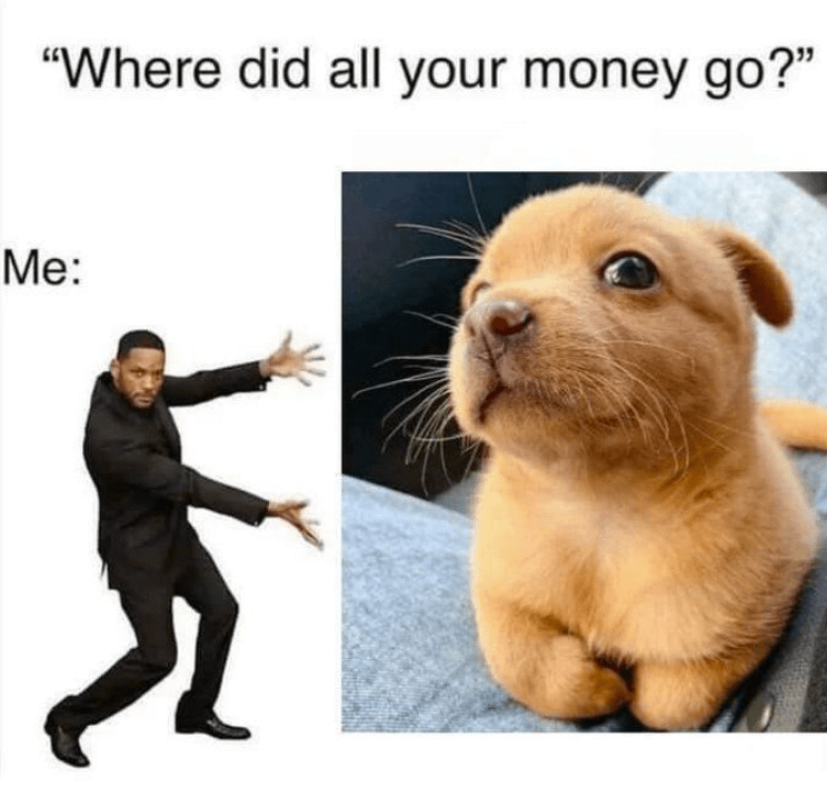 where-did-all-money-go