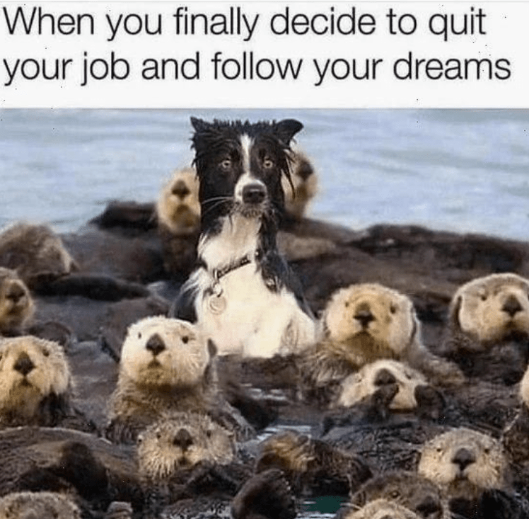 finally-decide-quit-job-and-follow-dreams