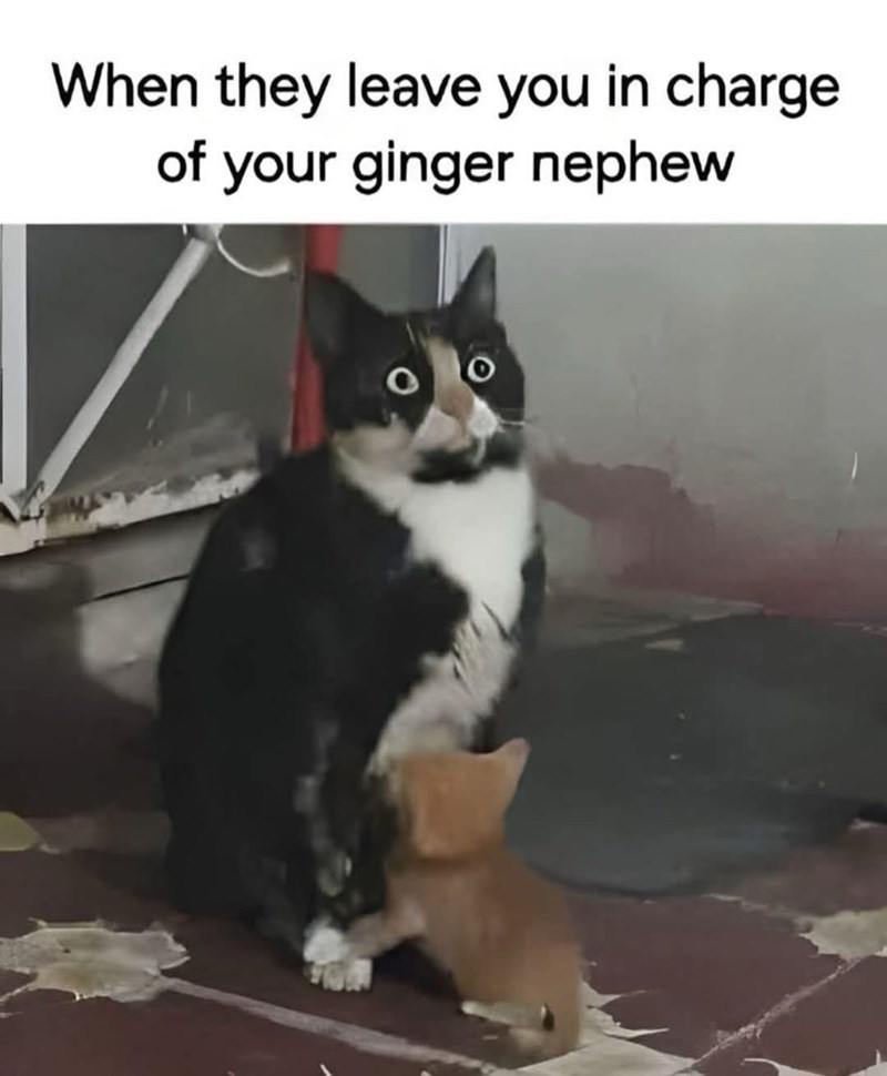 they-leave-charge-ginger-nephew