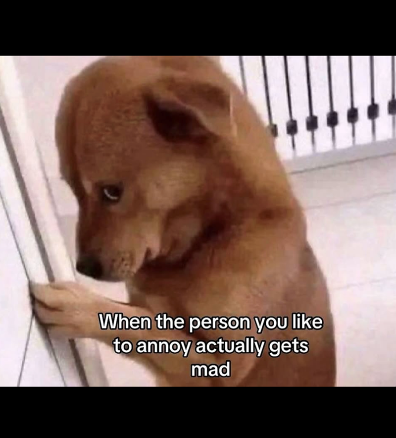 person-like-annoy-actually-gets-mad