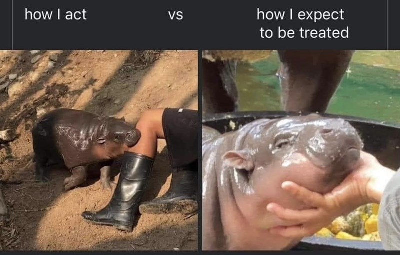 act-vs-expect-be-treated