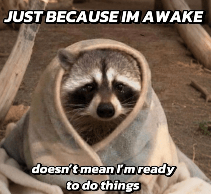 just-because-im-awake-doesnt-mean-ready-do-things