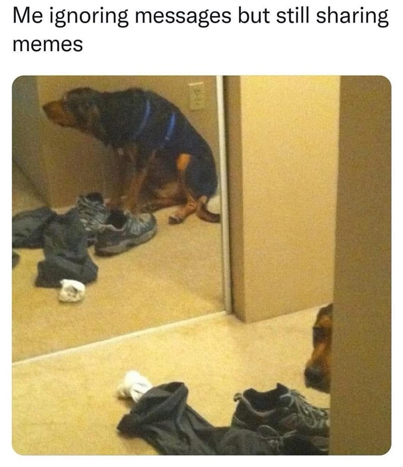 ignoring-messages-but-still-sharing-memes
