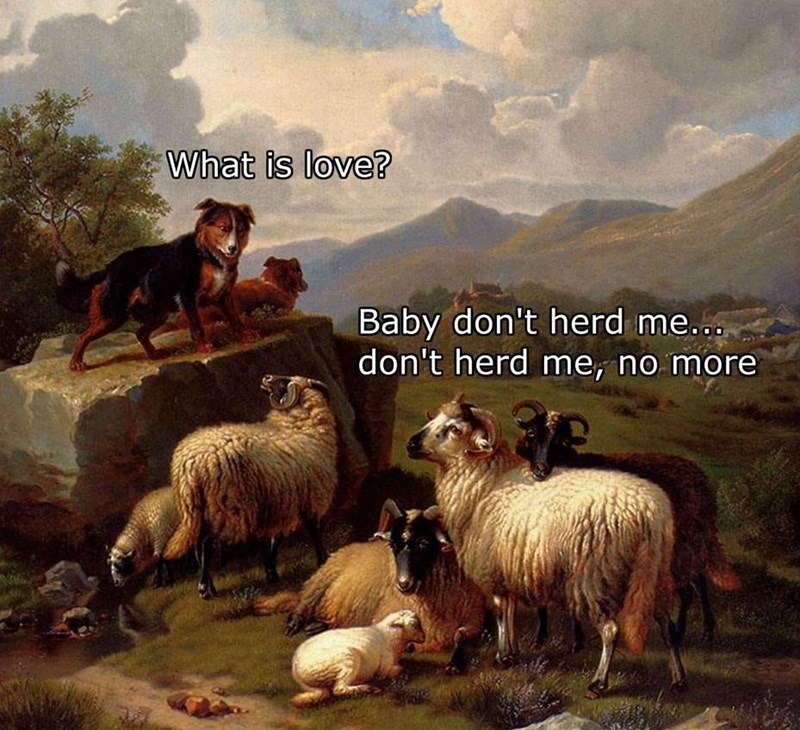 feeling-a-little-sheepish