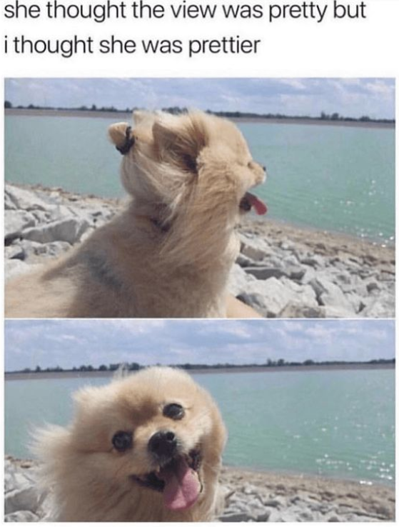 she-thought-view-pretty-but-thought-she-prettier