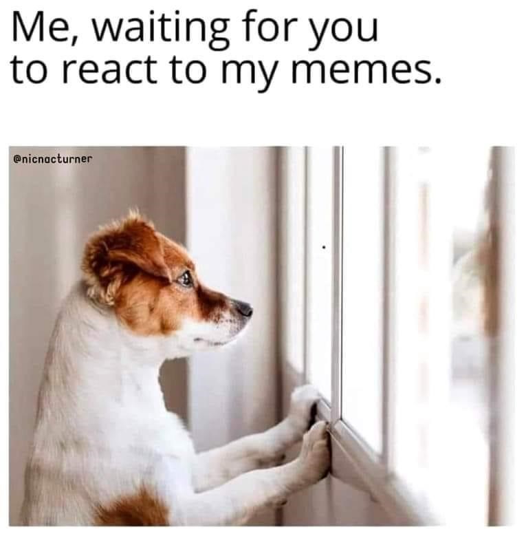 waiting-react-my-memes-nicnacturner