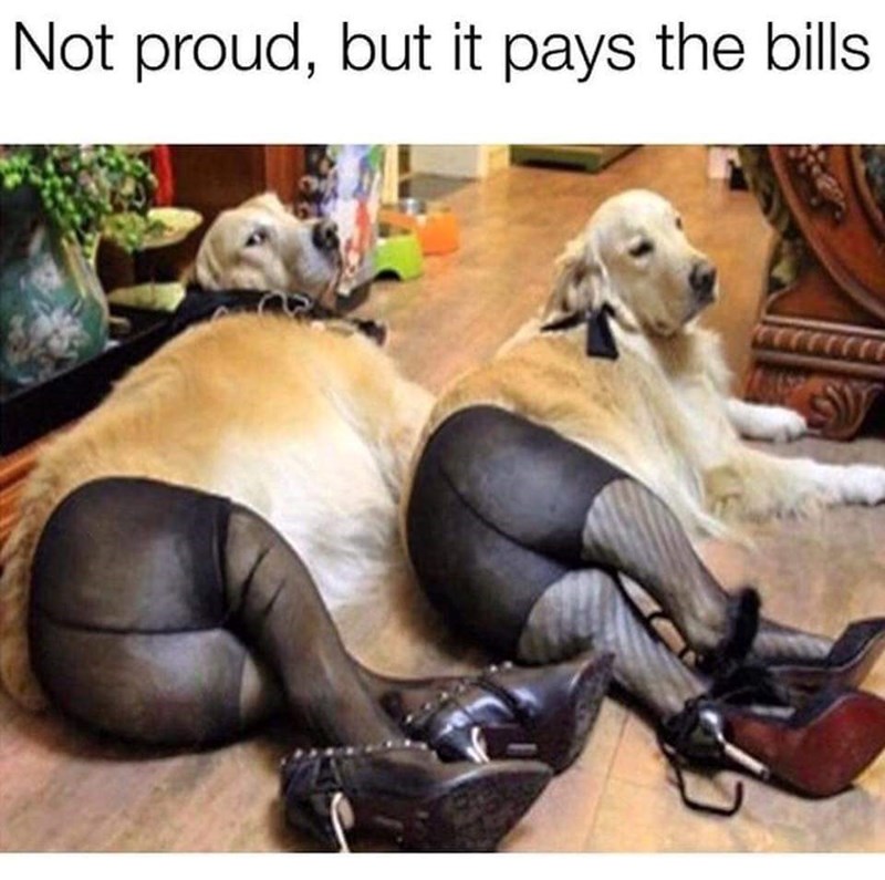 not-proud-but-pays-bills
