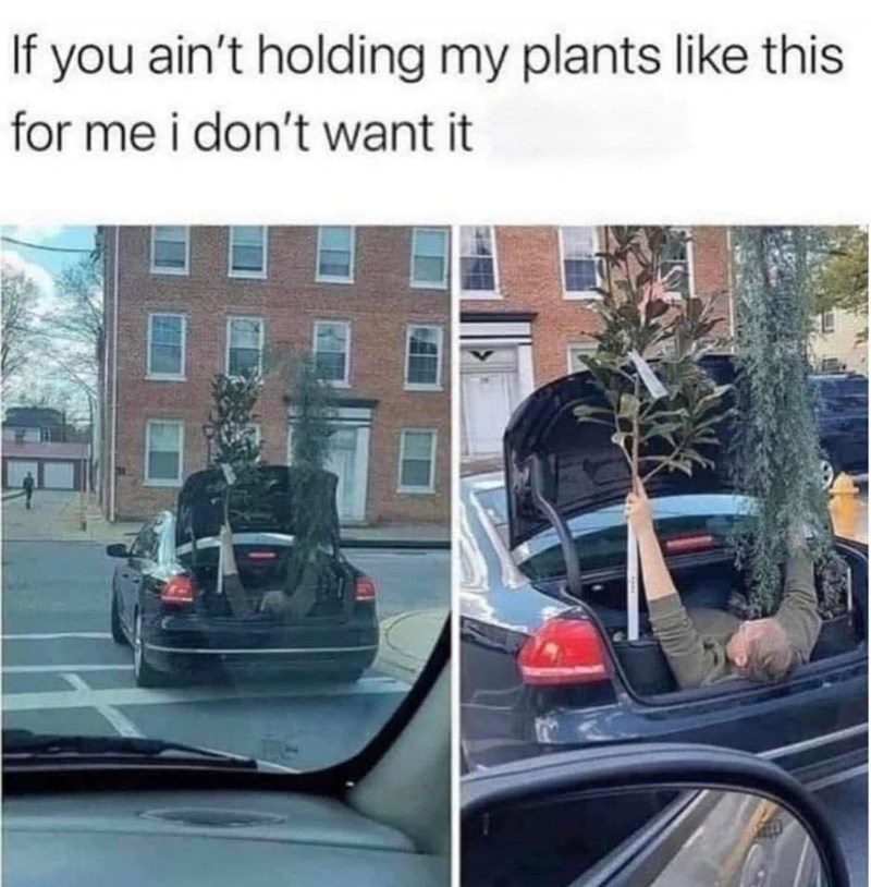 if-aint-holding-my-plants-like-this-dont-want