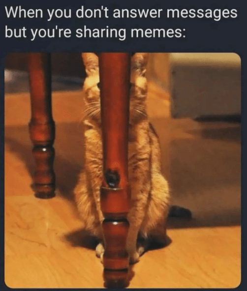 dont-answer-messages-but-sharing-memes