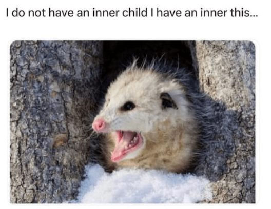 do-not-have-an-inner-child-have-an-inner-this