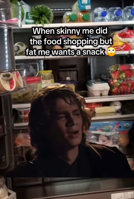 skinny-did-food-shopping-but-fat-wants-snack