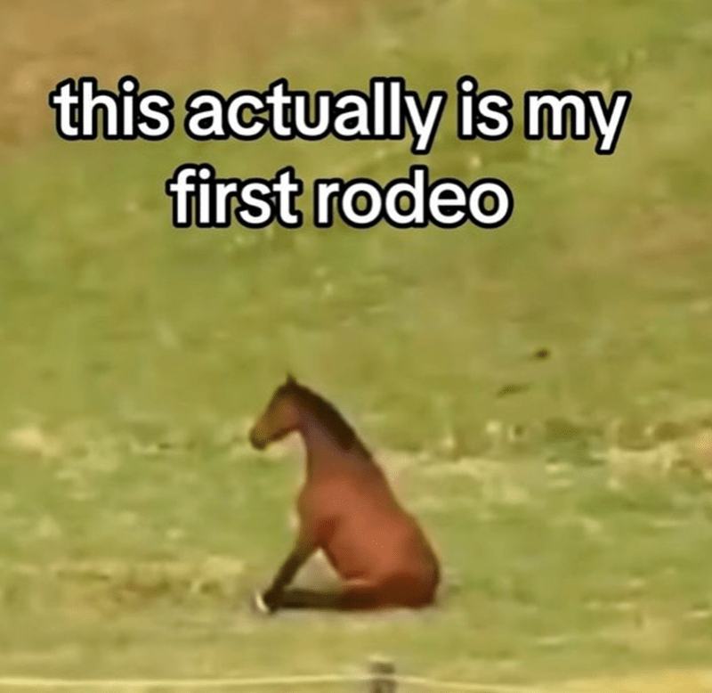this-actually-is-my-first-rodeo