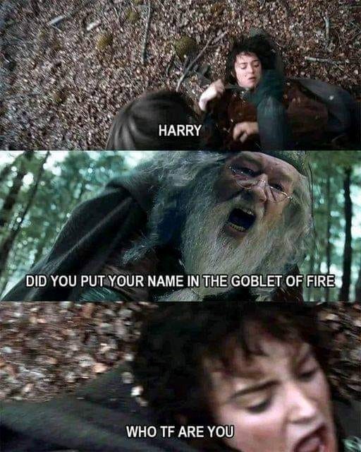 harry-did-put-name-goblet-fire-who-tf-are