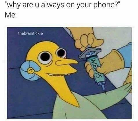 why-are-u-always-on-phone-thebraintickle-memes