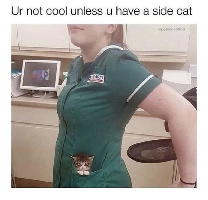 ur-not-cool-unless-u-have-side-cat-ard-petwineshop