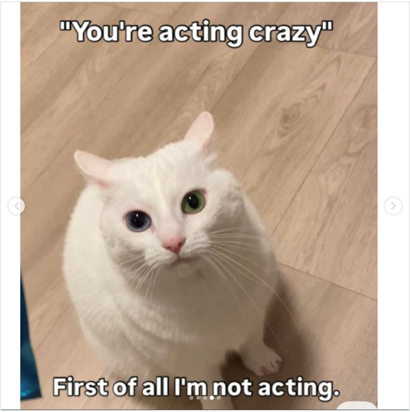 acting-crazy-first-all-not-acting