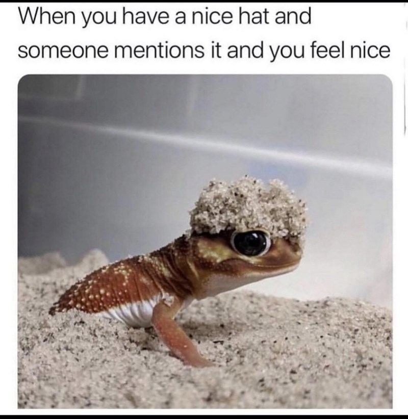 have-nice-hat-and-someone-mentions-and-feel-nice