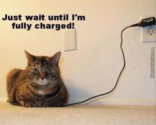 funny-kitty-cat-getting-charged_o_6943373.jpg