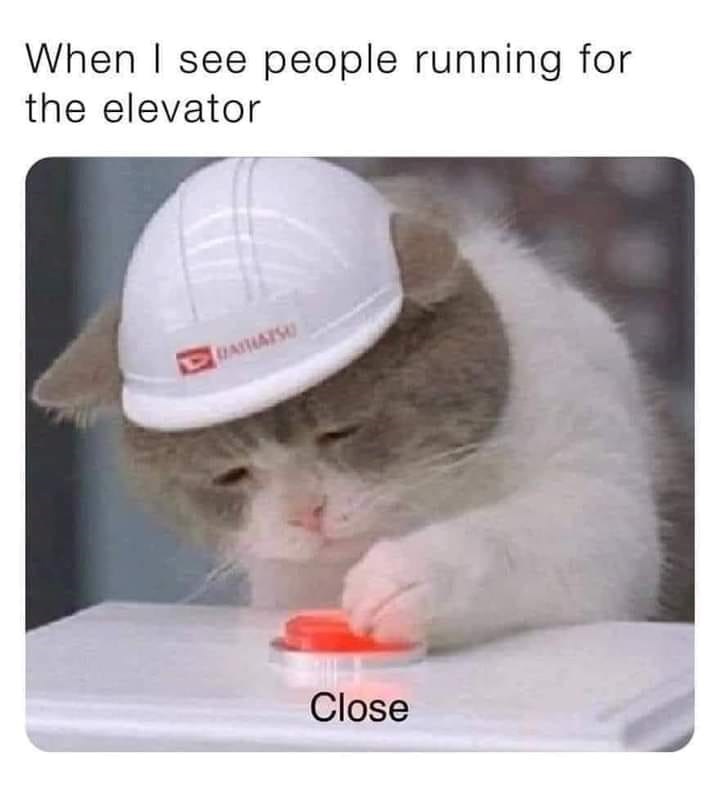 see-people-running-elevator-daihatsu-close