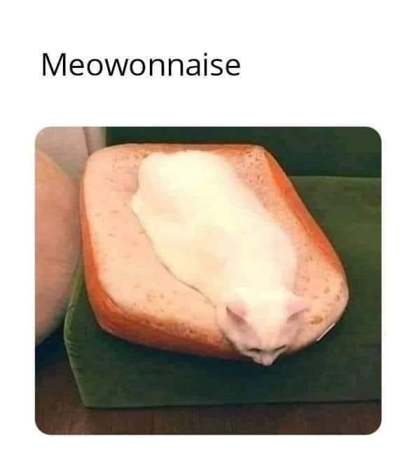 meowonnaise