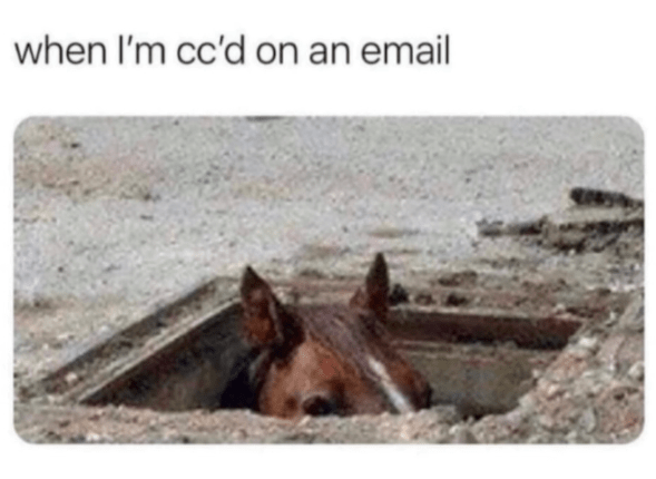 ccd-on-an-email