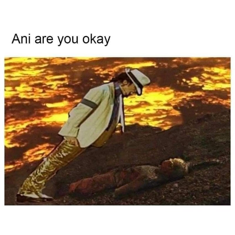 ani-are-okay