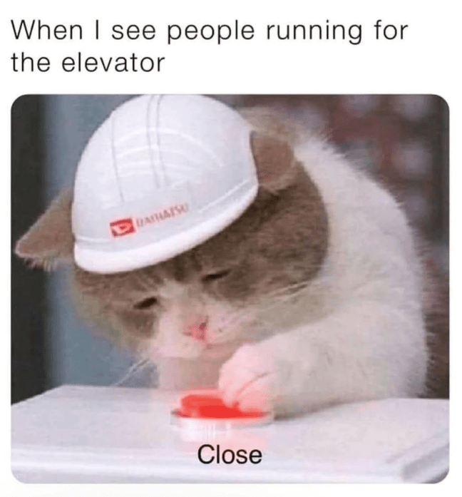 see-people-running-elevator-daihatsu-close