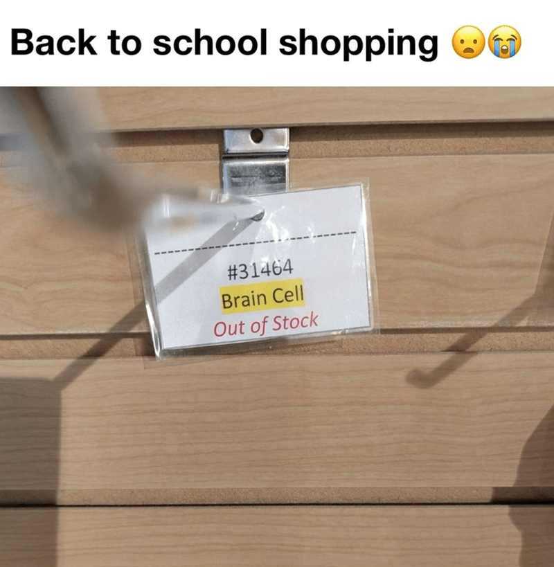 back-school-shopping-31464-brain-cell-out-stock