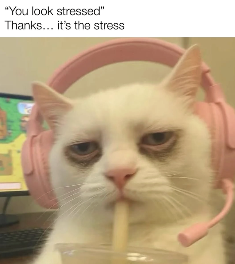 look-stressed-thanks-s-stress