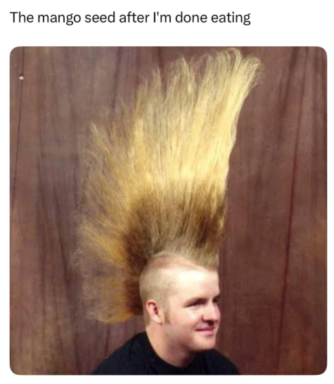 mango-seed-after-done-eating