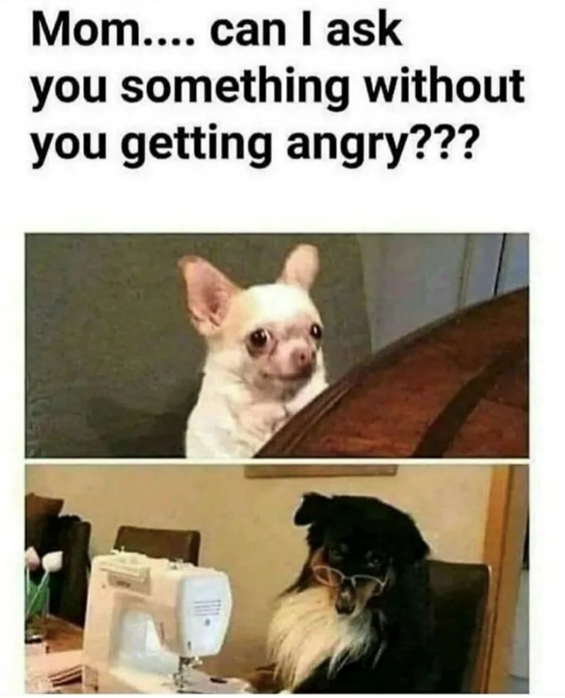mom-can-ask-something-without-getting-angry