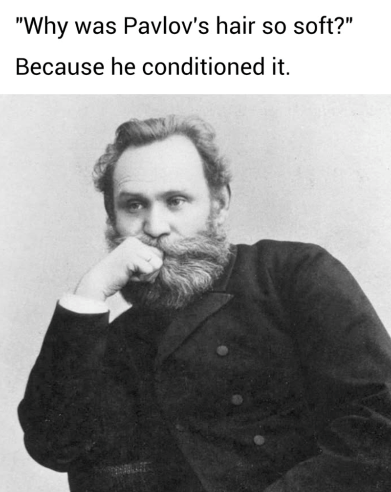 why-pavlovs-hair-so-soft-because-he-conditioned
