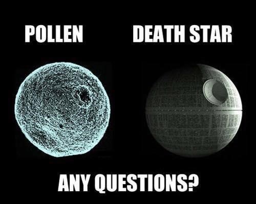 pollen-death-star-any-questions