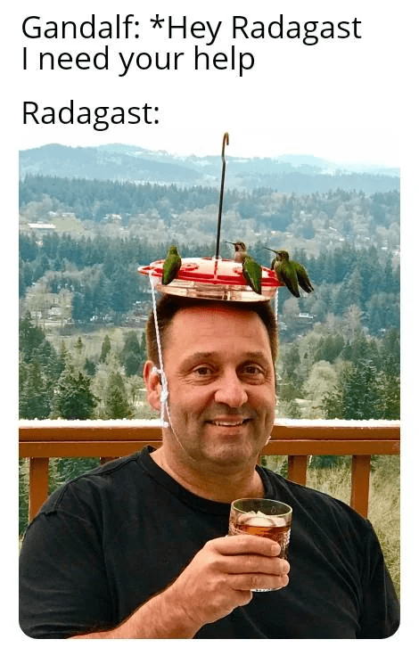 gandalf-hey-radagast-need-help-radagast