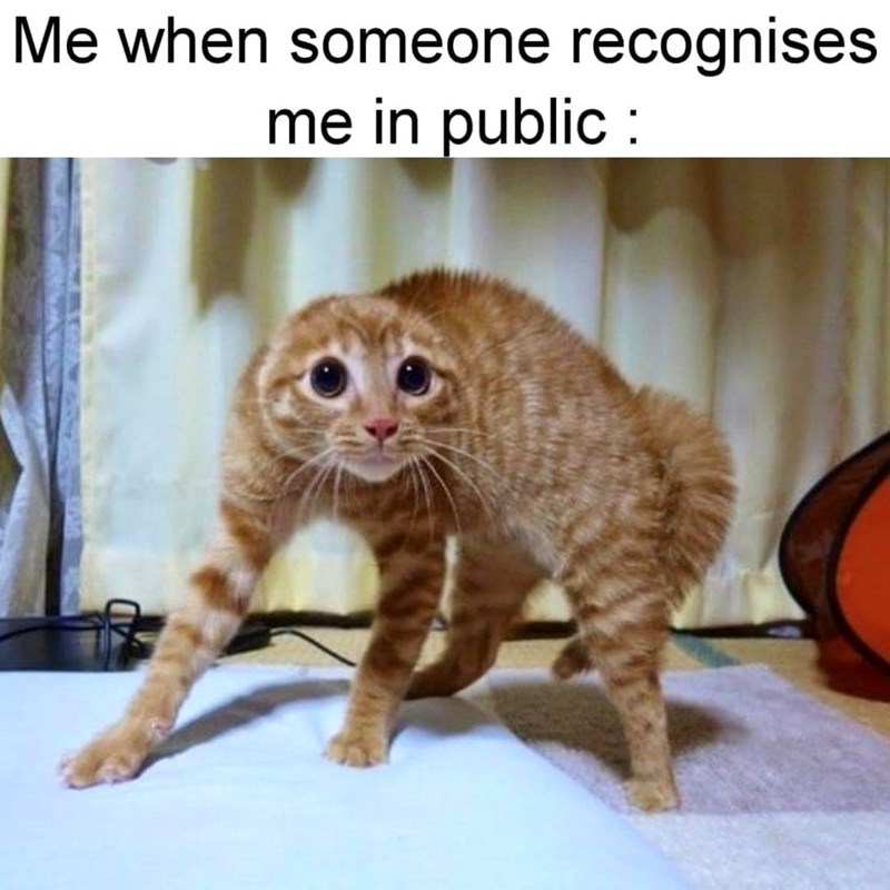 someone-recognises-public