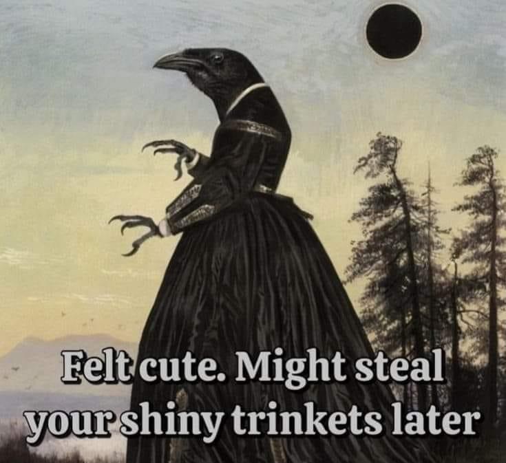 7-felt-cute-might-steal-shiny-trinkets-later