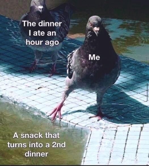 dinner-ate-an-hour-ago-snack-turns-into-2nd-dinner