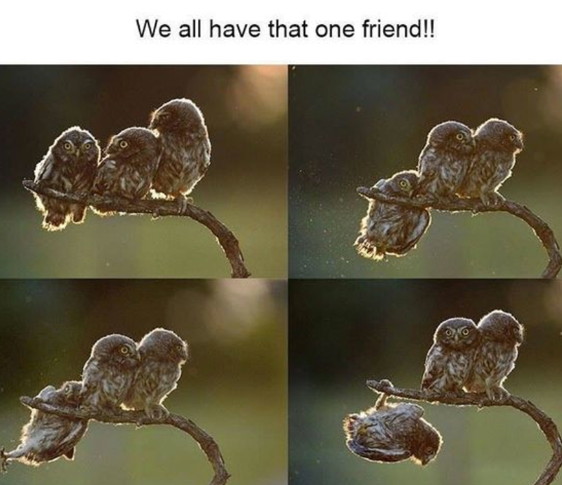 all-have-one-friend
