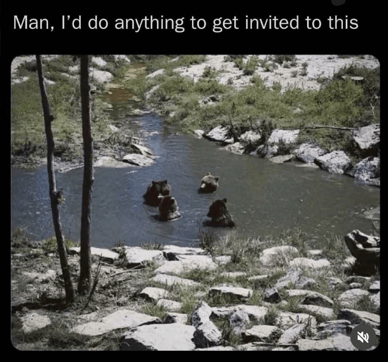 man-do-anything-get-invited-this-71